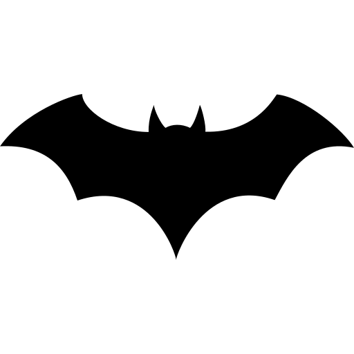 picture of a bat